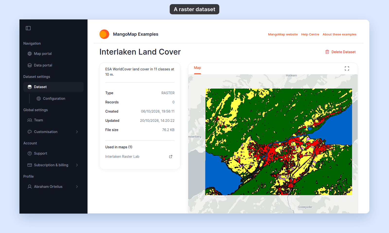 Dataset view of the Interlaken Land Cover raster dataset: only the Map tab, no Download button, and an information card with Type RASTER, Records 0, Created, Updated, File size, and Used in maps (1) with Interlaken Raster Lab, but no Data sync row